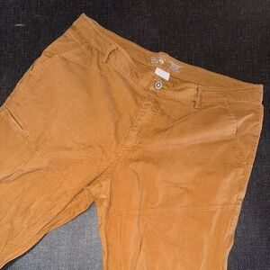 Hardwear AP Active Pants - Men's